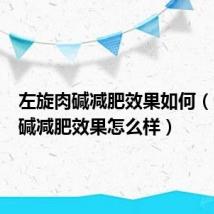 左旋肉碱减肥效果如何(左旋肉碱减肥效果怎么样)