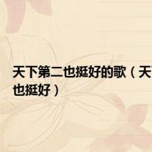 天下第二也挺好的歌（天下第二也挺好）