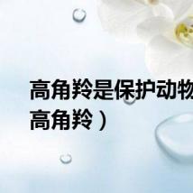 高角羚是保护动物吗（高角羚）