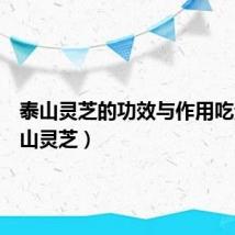 泰山灵芝的功效与作用吃法(泰山灵芝)