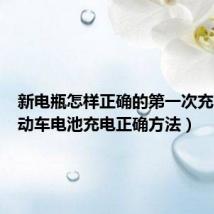 新电瓶怎样正确的第一次充电(电动车电池充电正确方法)