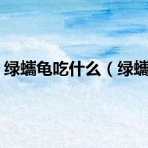 绿蠵龟吃什么（绿蠵龟）
