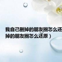 我自己删掉的朋友圈怎么还原(删掉的朋友圈怎么还原)