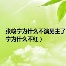 张峻宁为什么不演男主了(张峻宁为什么不红)