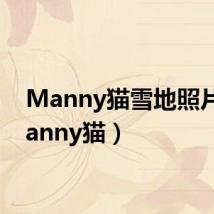 Manny猫雪地照片(manny猫)