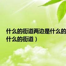 什么的街道两边是什么的楼房(什么的街道)