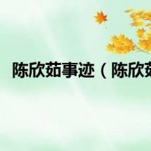 陈欣茹事迹（陈欣茹）