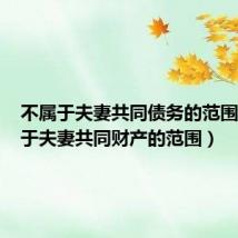 不属于夫妻共同债务的范围(不属于夫妻共同财产的范围)
