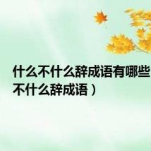 什么不什么辞成语有哪些(什么不什么辞成语)