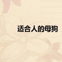 适合人的母狗