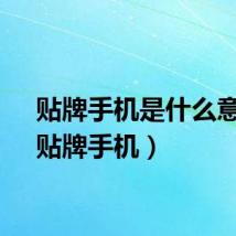贴牌手机是什么意思（贴牌手机）