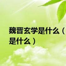 魏晋玄学是什么（玄学是什么）