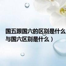国五跟国六的区别是什么(国五与国六区别是什么)