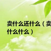 卖什么还什么（卖什么什么什么）