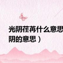 光阴荏苒什么意思(光阴的意思)