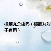 樟脑丸杀虫吗（樟脑丸对什么虫子有用）