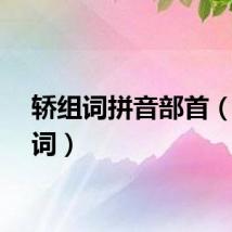 轿组词拼音部首（轿组词）
