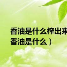 香油是什么榨出来的（香油是什么）