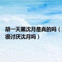 胡一天黑沈月是真的吗(胡一天很讨厌沈月吗)