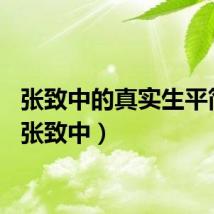 张致中的真实生平简介(张致中)