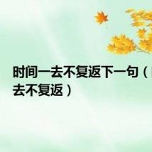 时间一去不复返下一句(时间一去不复返)