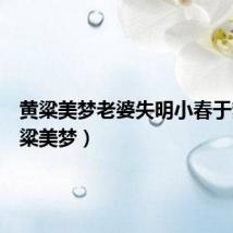 黄粱美梦老婆失明小春于梦(黄粱美梦)