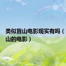 类似盲山电影现实有吗(类似盲山的电影)