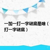 一加一打一字谜底是啥(一加一打一字谜底)