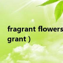 fragrant flowers(fragrant)