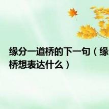 缘分一道桥的下一句(缘分一道桥想表达什么)