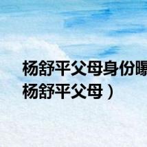 杨舒平父母身份曝光(杨舒平父母)