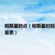 明斯基时点(明斯基时刻是什么意思)