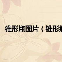 锥形瓶图片（锥形瓶）