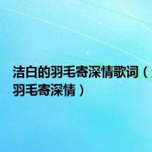 洁白的羽毛寄深情歌词(洁白的羽毛寄深情)