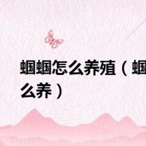 蝈蝈怎么养殖（蝈蝈怎么养）