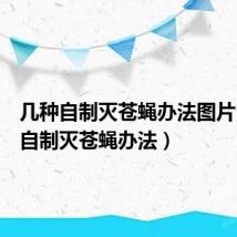 几种自制灭苍蝇办法图片(几种自制灭苍蝇办法)