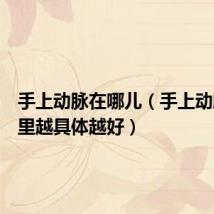 手上动脉在哪儿（手上动脉在哪里越具体越好）