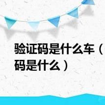 验证码是什么车（验证码是什么）