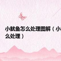 小鱿鱼怎么处理图解(小鱿鱼怎么处理)