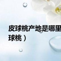 皮球桃产地是哪里（皮球桃）