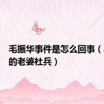 毛振华事件是怎么回事(毛振华的老婆杜兵)
