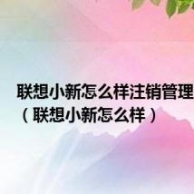 联想小新怎么样注销管理员账户(联想小新怎么样)