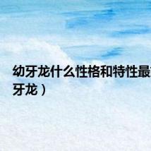 幼牙龙什么性格和特性最好（幼牙龙）
