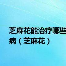 芝麻花能治疗哪些皮肤病（芝麻花）