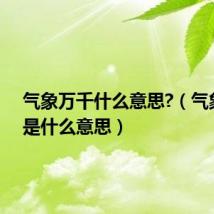 气象万千什么意思?(气象万千是什么意思)