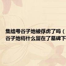 集结号谷子地被俘虏了吗(集结号谷子地将什么留在了墓碑下)