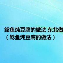 鲶鱼炖豆腐的做法 东北做法视频(鲶鱼炖豆腐的做法)