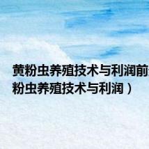 黄粉虫养殖技术与利润前景(黄粉虫养殖技术与利润)