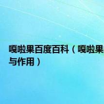 嘎啦果百度百科(嘎啦果的功效与作用)