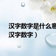 汉字数字是什么意思（汉字数字）